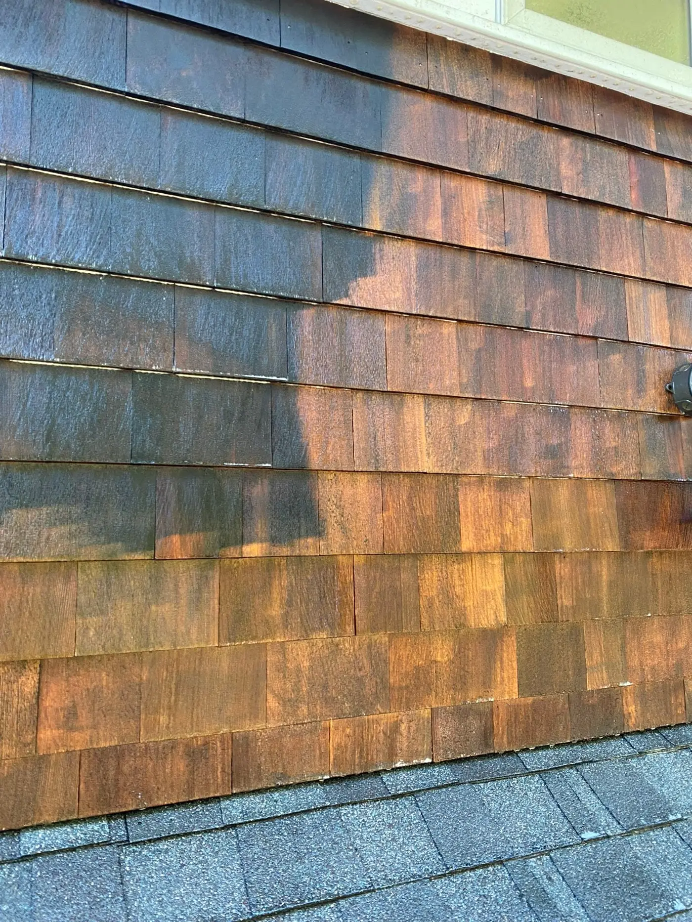Cedar shingle siding